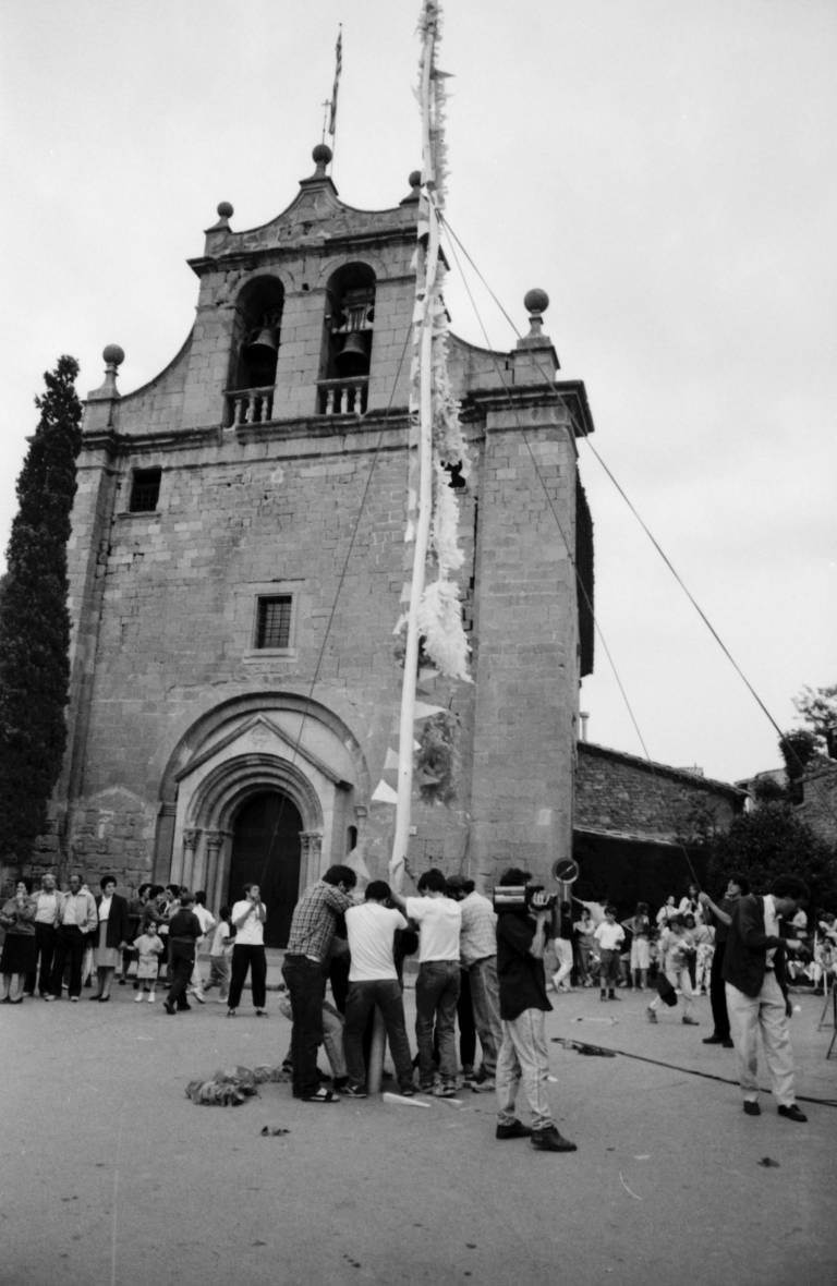 Alçant l'Arbre de Maig. Fota: Pep Sala