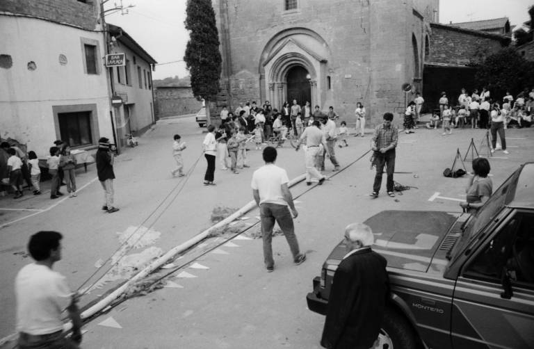 Alçant l'Arbre de Maig. Fota: Pep Sala