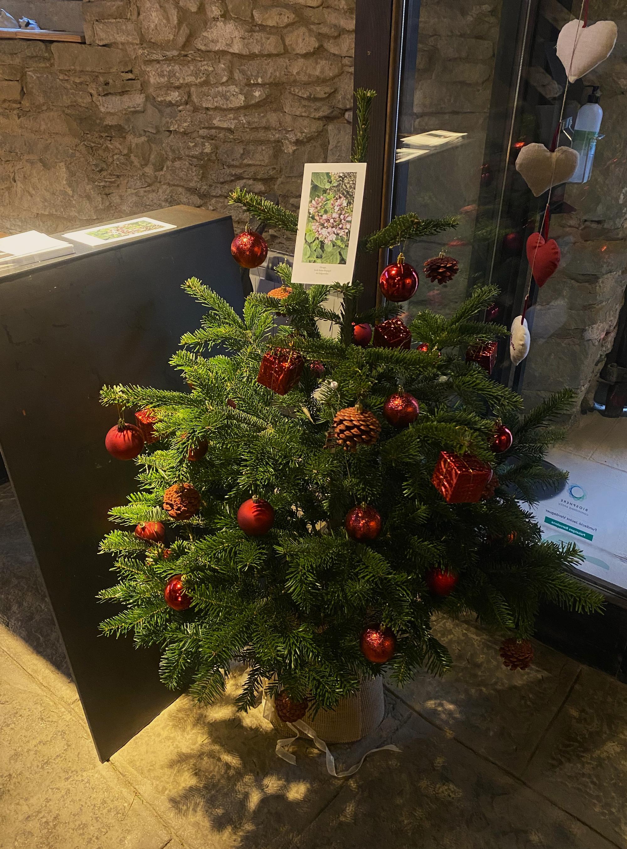 images-bulletins/December2025/WNn7FWMwppSbHuHD2rWA.jpg