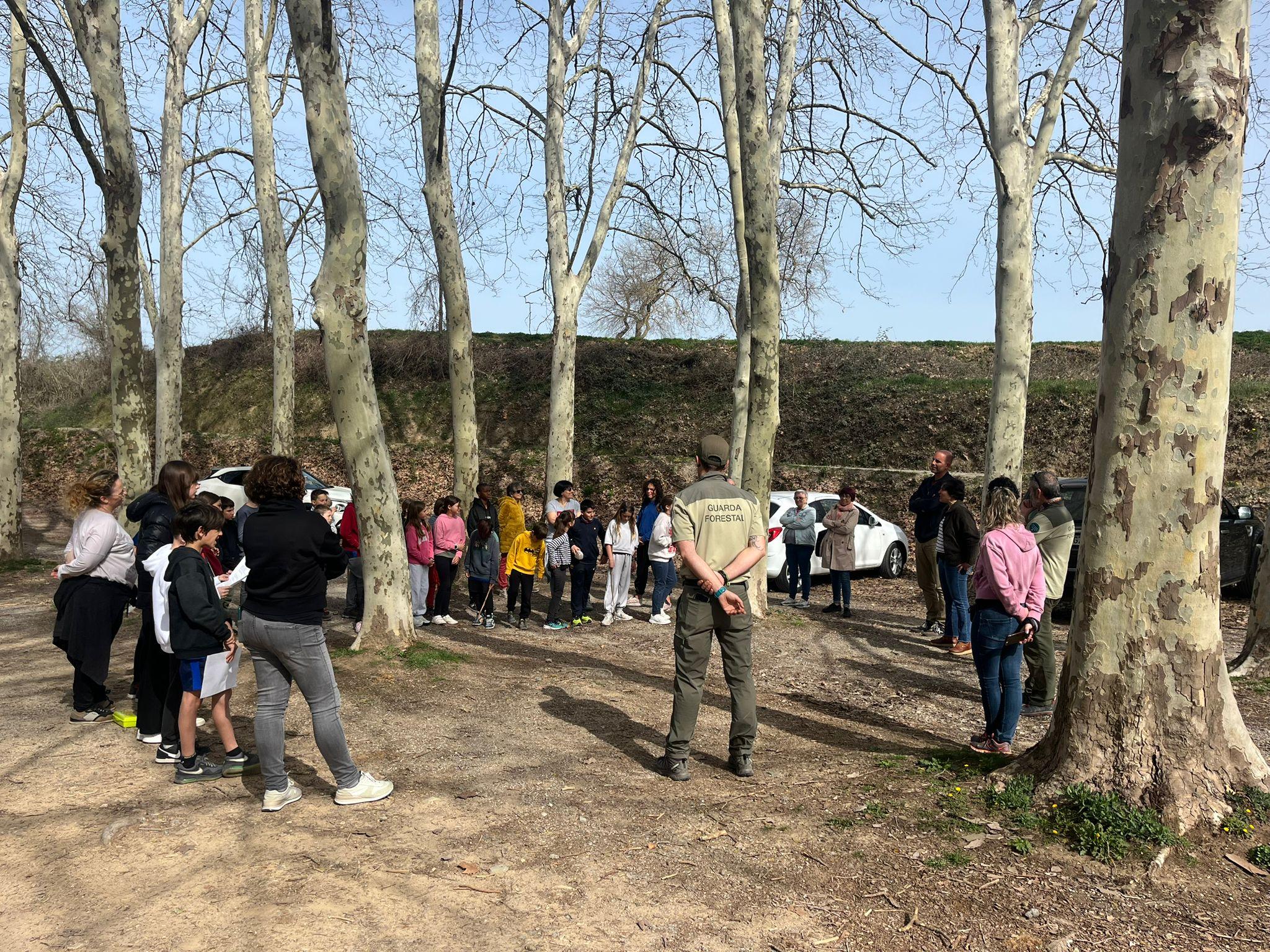 Celebrem el #DMP24 al bosc de la Font Trobada