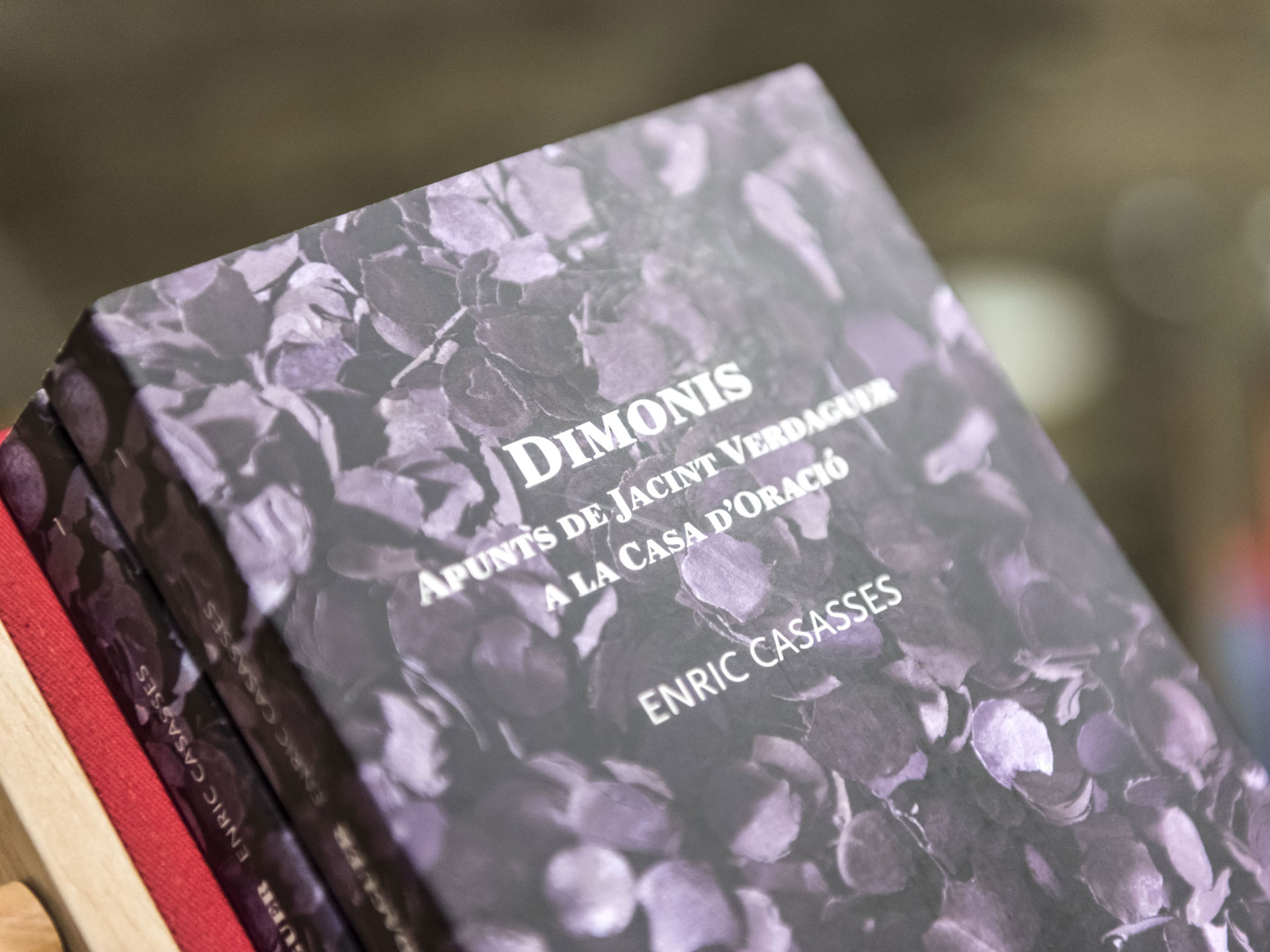 Crònica i fotos del segon cap de setmana