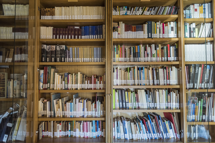 El fons bibliogràfic en línia