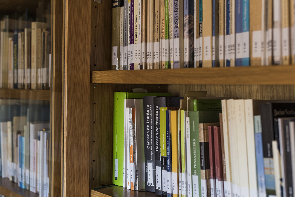 El fons bibliogràfic en línia