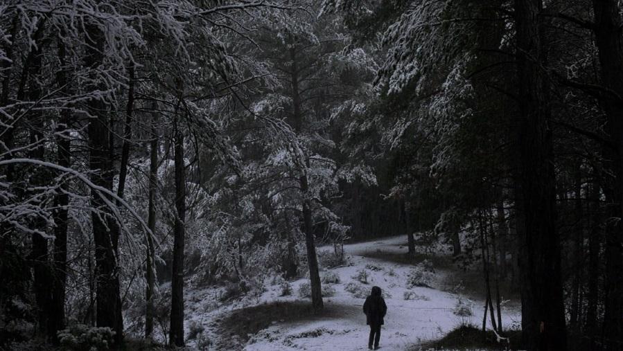 Cants del pou - El Comte Arnau